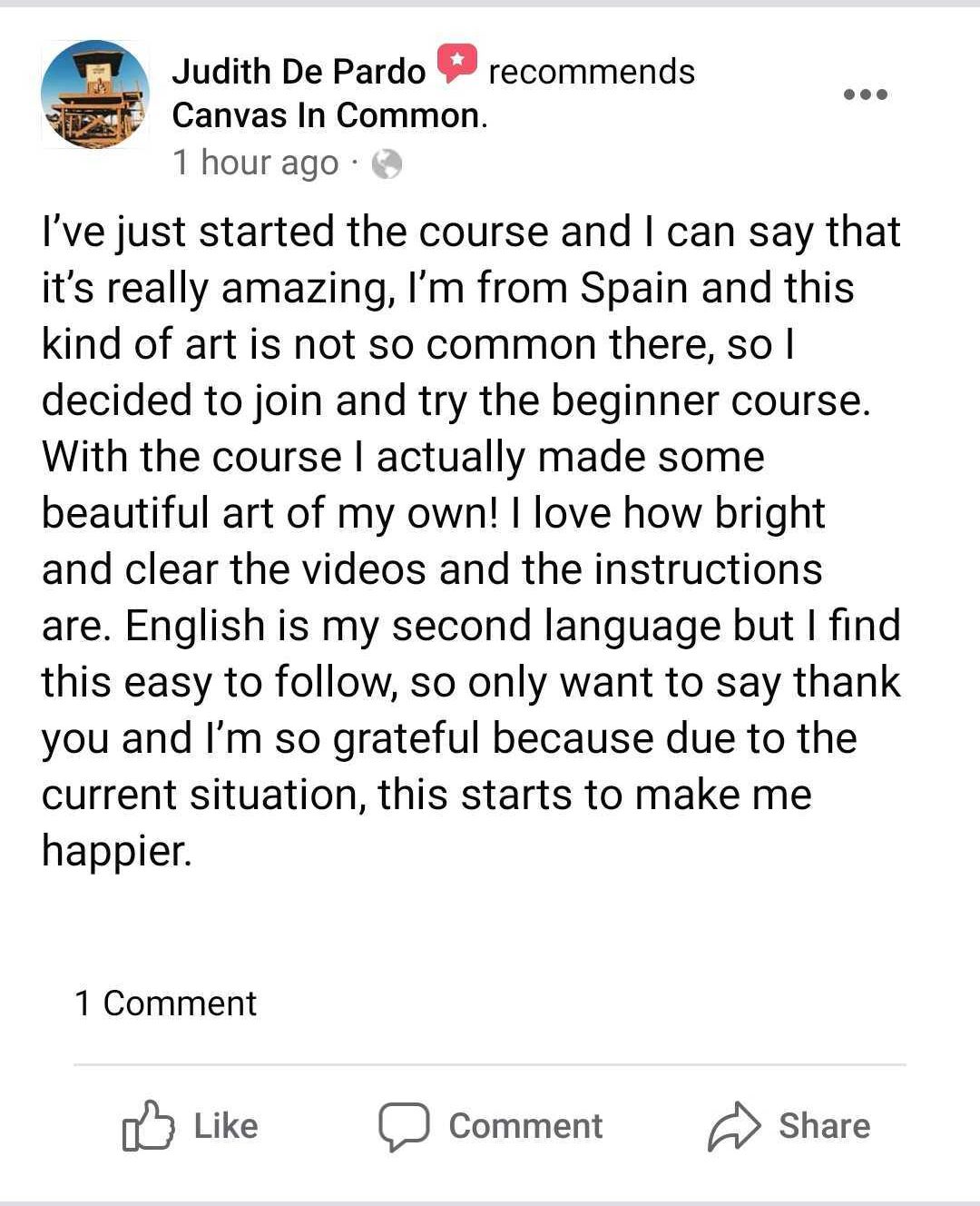 Screenshot testimonial sales page